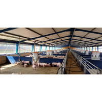Bâtiments de ferme en acier préfabriqués au design moderne pour élevages porcins, construction économique