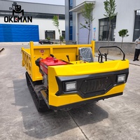 OKEMAN Mini 3-Tonnen-Diesel-Raupendumper mit Motor, Getriebe und Pumpe – Hocheffizient für die Logistik in der Landwirtschaft