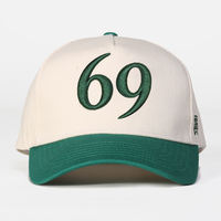 Proveedor Mayorista de Gorras de Béisbol Bordadas en 3D 100% Algodón, Gorras Deportivas Personalizadas con Logotipo