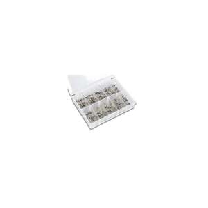 Fusibles Lac FUSE SET 100 piezas, 5x20mm SLOW - Product Image 1