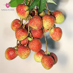 Lichi de alta calidad, orgánico Natural, sabor dulce fresco, forma redonda, productos agrícolas, lichi