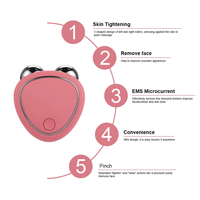 Vente directe d'usine, appareil anti-âge pour le lifting du visage, micro-courant, équipement de beauté à domicile, mini-rouleau, outils de soin de la peau, masseur facial