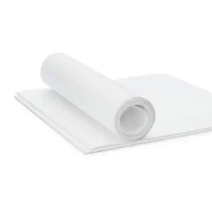 Высокотемпературный устойчивый белый Ptfe девственный пластиковый лист Ptfe лист
