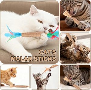 Bâton à mâcher interactif en vigne argentée naturelle <span class=keywords><strong>pour</strong></span> chat, avec plume, corde de jute et fruit de raphia, <span class=keywords><strong>pour</strong></span> chatons et <span class=keywords><strong>chats</strong></span> <span class=keywords><strong>adultes</strong></span>, vente en gros - Product Image 6