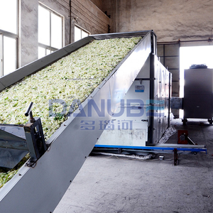 Leading Technology Mesh Belt Lily Drying Equipment Flowers Drying Machine Lily Dehydration Processing Machinery - Product Image 2