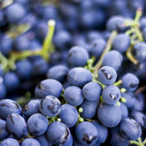 องุ่นผลไม้สดองุ่นแดงเข้มเมล็ดองุ่นแดงหวาน - Product Image 1