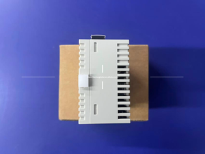 Módulo de Fuente de Alimentación PLC Serie DVP DVPPS01 DVP-PS01 - Product Image 4