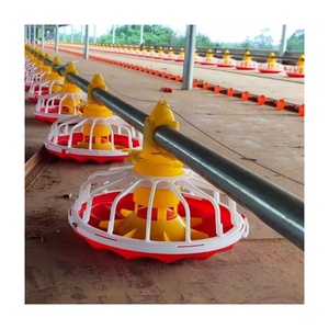 Équipement complet de ligne d'alimentation pour l'élevage avicole, système d'alimentation automatique pour poulets, équipement d'élevage de volailles, mangeoire pour poulets - Product Image 2