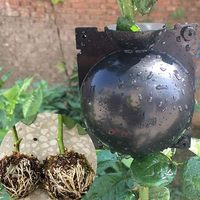 Boîte de bouturage agricole moulée pour greffage, outils de propagation haute pression, pods de bouturage aérien transparents
