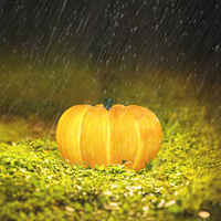 Villa teras rumput suasana dekoratif pencahayaan bentuk labu luar ruangan tahan air lampu Halloween lampu taman