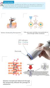 Equipo <span class=keywords><strong>de</strong></span> belleza <span class=keywords><strong>de</strong></span> electroporación <span class=keywords><strong>de</strong></span> alta calidad para blanqueamiento <span class=keywords><strong>de</strong></span> <span class=keywords><strong>la</strong></span> <span class=keywords><strong>piel</strong></span>, reducción <span class=keywords><strong>de</strong></span> poros y regeneración <span class=keywords><strong>de</strong></span> colágeno - Product Image 3