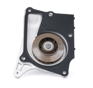 Pièces automobiles de haute qualité, pompe à eau 210105481R, à utiliser pour <span class=keywords><strong>SYMBIOZ</strong></span> - Product Image 4