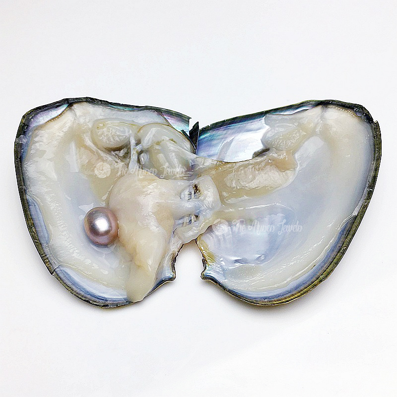 singolo (Una perla per ostrica)