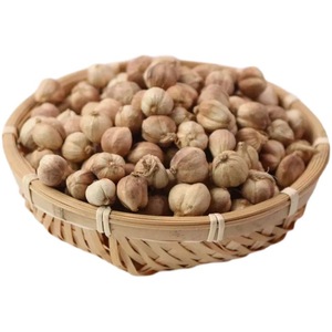Especias y hierbas individuales sin azufre, nuez moscada seca, pimienta de Jamaica, cardamomo, Maza en patrón de bloque, procesamiento crudo sin procesamiento de anuncios - Product Image 1
