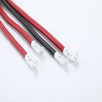 Faisceau de câblage à noyau de ferrite rouge et noir pour onduleur et équipement électronique