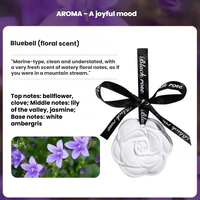 Désodorisant de voiture populaire en plâtre solide personnalisé, parfum d'intérieur, élimination des odeurs, parfum longue durée, gypse parfumé aux huiles essentielles