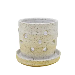 带斑点的白色陶瓷兰花壶现代室内陶器石器兰花花盆，带滴水盘