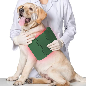 Vendeur chaud thérapie laser à la lumière infrarouge pour cheval de course soulagement de la douleur humaine arthritiques dispositif de physiothérapie vétérinaire - Product Image 2