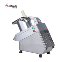 Welldone RVS Commerciële Elektrische Voedselsnijder/Snijmachine 1000W Motor Automatische Hoge-Efficiëntie Groente Ui Wortel