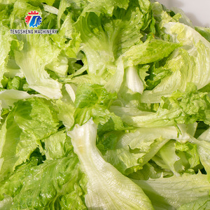 Máy rửa rau quả tự động tạo bọt xoáy Máy rửa rau quả Máy rửa cam quýt TS-X220 - Product Image 6