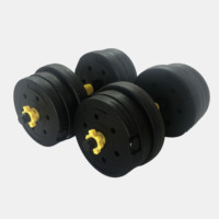Vente en gros de poids réglables 10KG 20KG 30KG Ensemble d'haltères et d'haltères en ciment pour la protection de l'environnement