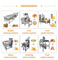 Dubbele Roller Sapcentrifuge Professionele Sinaasappelpers RVS Koude Pers Fruitpers voor Fruit en Groenten