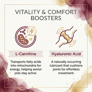Polvere Premium per Invecchiamento Sano degli Animali Domestici Anziani, Glucosamina Omega 3, Supporto Cognitivo per Cani e Gatti, Etichetta Privata OEM - Product Image 3