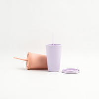 Gobelet de voyage personnalisé en plastique dépoli mat à double paroi de 17 oz et 20 oz avec couvercle et paille, sans BPA