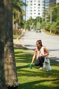 240 Bolsas Biodegradables Pequeñas con Asa para Desechos de Perro, Bolsas para Excremento de Perro - Product Image 4