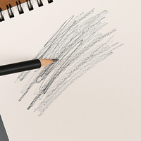 Carnet de croquis de peinture artistique personnalisé, carnet de croquis professionnel pour peinture à l'aquarelle, carnet de croquis à spirale, papier épais vierge 160G avec logo