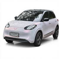 Voiture d'occasion Wuling Bingo, modèle 2023, autonomie électrique pure CLTC, édition Premium Plus