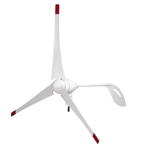 Hocheffizientes Windrad 500W Windturbine 12V 24V Stromerzeugungssystem für den Heimgebrauch - Product Image 1