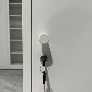 Diskon besar kabinet penyimpanan baja loker pintu tunggal 1 warna-warni baru untuk ruang tamu Modern Tallboy Steel Locke untuk bengkel kamar tidur - Product Image 4