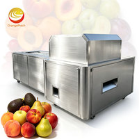 ORME Commerciële Automatische Abrikozen- en Kersenontpittermachine Olijfpit- en Kersenontpittermachine