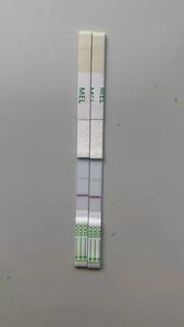 फेलिन जानवरों के लिए उच्च परिशुद्धता त्वरित नैदानिक किट - Product Image 2