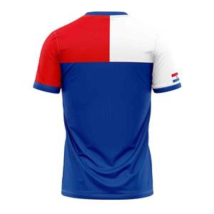 南アメリカパラグアイ国旗カラーストライプTシャツプライベートカスタムプリントロゴシャツメンズラージサイズ半袖クルーネックTシャツ - Product Image 4