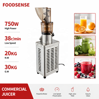 Professionele elektrische grote capaciteit gember-sinaasappel-fruit-groente-schroefpers voor horeca-apparatuur