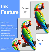 Encre éco-solvant CMYK à faible odeur de 1000 ml pour imprimante de signalisation extérieure Epson Dx5 Dx7 I3200 I1600 Xp600 pour bannières et vinyles