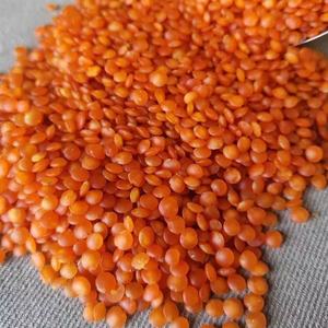 Organik kırmızı mercimek kurutulmuş Chana Dal ve yeşil mercimek gıda kullanımı toplu torbalarda paketlenmiş - Product Image 2