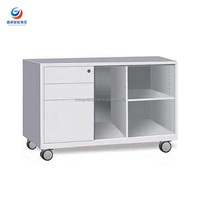 Armoire médicale pour hôpitaux, cliniques et laboratoires, armoire de classement en acier et armoire casier, verrouillable, facile à nettoyer