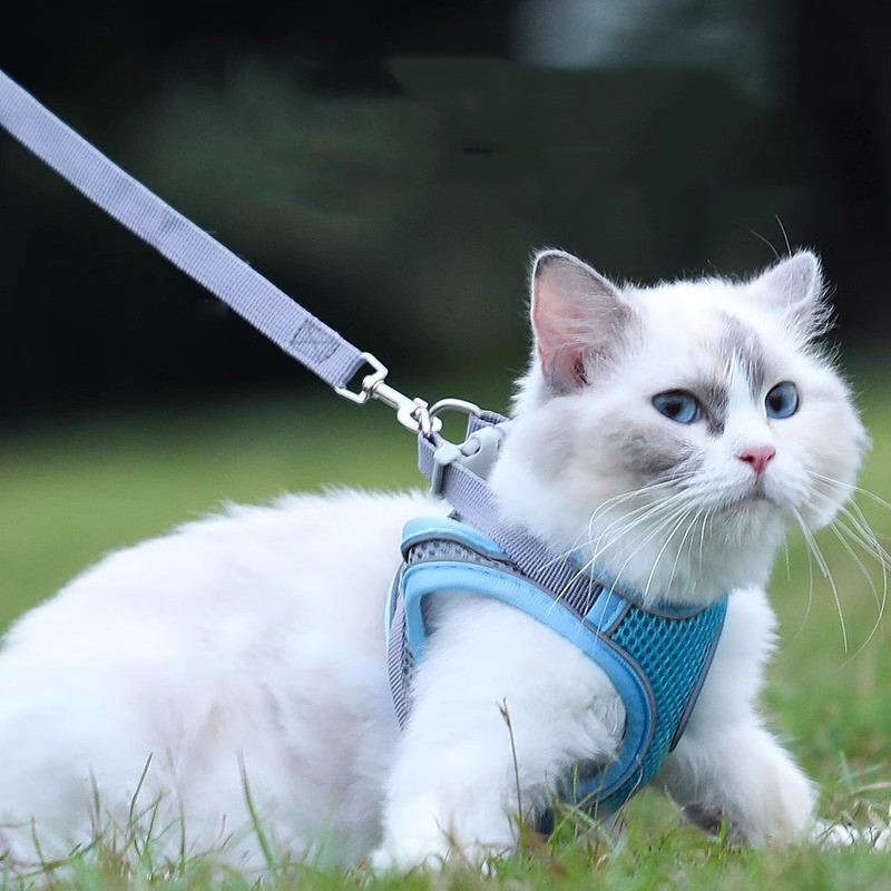 Escape Proof Safe Adjustable Kitten Vest