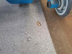 2 năm bảo hành Nhà Máy Giá CE/iso9001approval 208/230V sàn bắn nổ mìn đi bộ phía sau bắn Blaster - Product Image 5