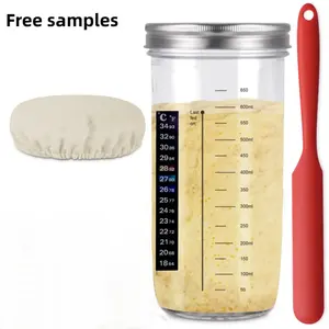 YONGLI vidro fermentação máquina balde equipamentos biorreator iogurte fermentador Sourdough Starter Jar Kit pano capa e espátula