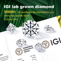 IGI Sertifikalı 0.5ct 1ct 1.5ct 2ct 3ct 4ct 5ct 6ct Mükemmel Kesim HPHT CVD Laboratuvar Elması DEF Yuvarlak Kesimsiz Laboratuvarda Yetiştirilmiş Elmaslar