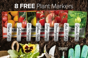 <span class=keywords><strong>Kit</strong></span> de plantes de jardin potager biologique 8 tomates pour amoureux de la culture en extérieur ou à la maison dans un sol de jardin en état d'utilisation - Product Image 4
