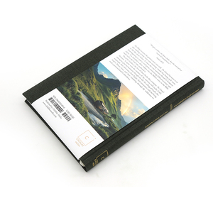 Édition de livres de luxe personnalisés à couverture rigide avec dorure à l'argent et impression de romans illustrés - Product Image 2