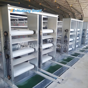 Neues automatisches Geflügel zucht system vom Typ H mit automatischem Broiler käfig Geflügel zucht käfigs ystem - Product Image 5