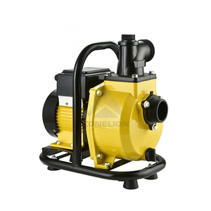 Brushless DC Agricultural Irrigation Large Flow Head <b>Pump</b> Solar Self Priming <b>Pump</b> DC Brushless Solar <b>Water</b> <b>Pump</b> - Product Image 2