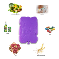 Blocs de glace multifonctionnels en HDPE, couleur et taille personnalisables, qualité alimentaire, idéaux pour la pêche, le barbecue, les pique-niques et la cryothérapie