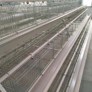 3 Tiers A-Type Layer Chicken Cage <strong>Galvanized</strong> Wire Poultry Cage with Automatic <strong>Watering</strong> &amp; Feeding <strong>Trough</strong> for Egg Laying Hens - Product Image 3